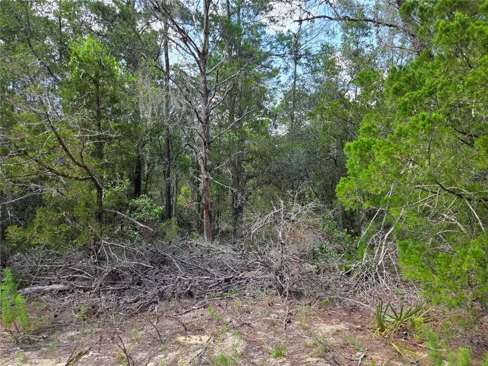 0000 NE 95TH STREET Archer, FL 32618