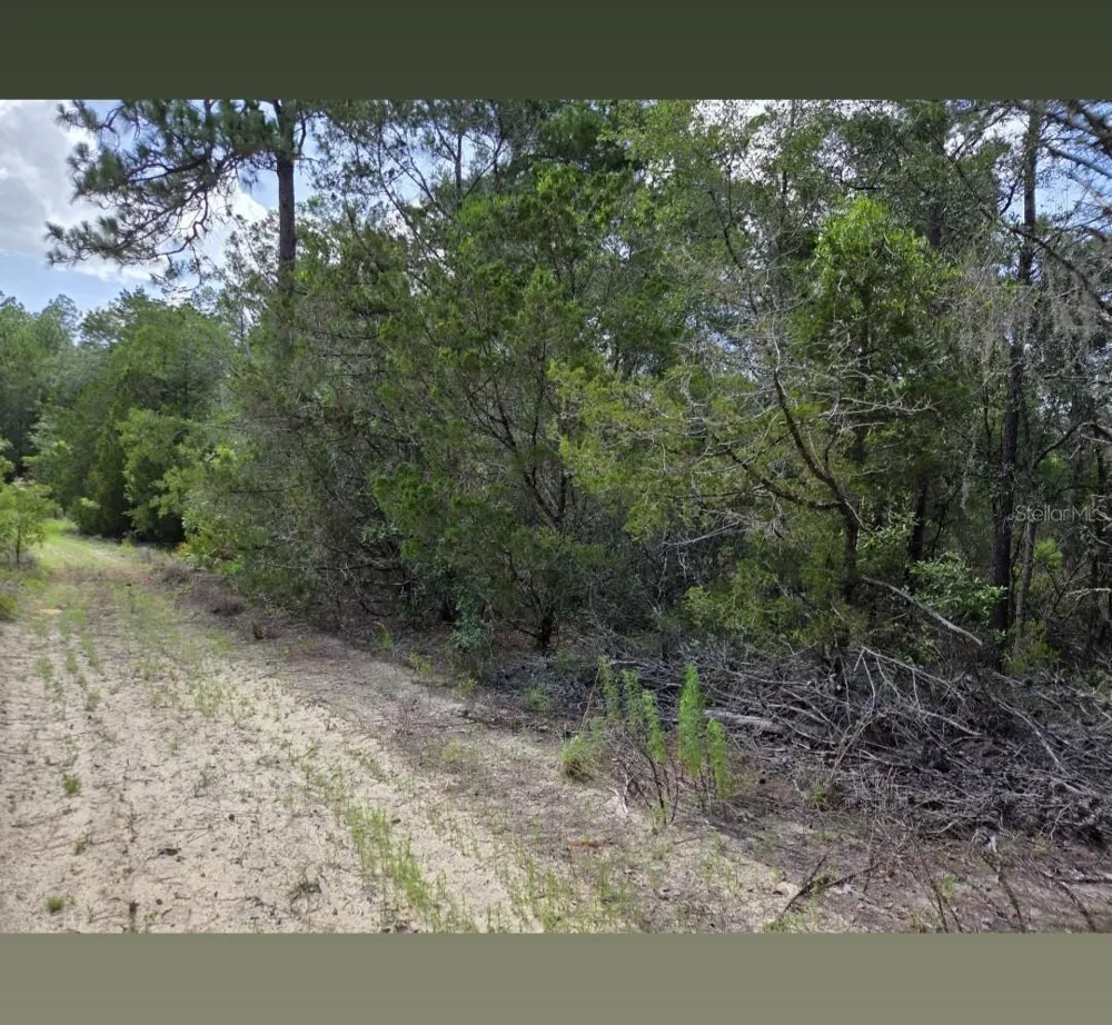 0000 NE 95TH STREET Archer, FL 32618