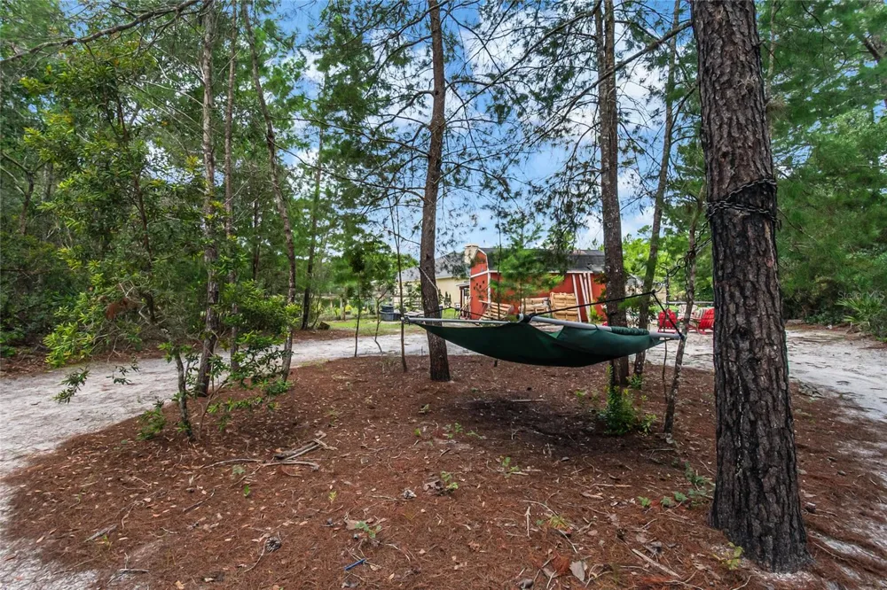 450 VALLEY STREAM DRIVE Geneva, FL 32732