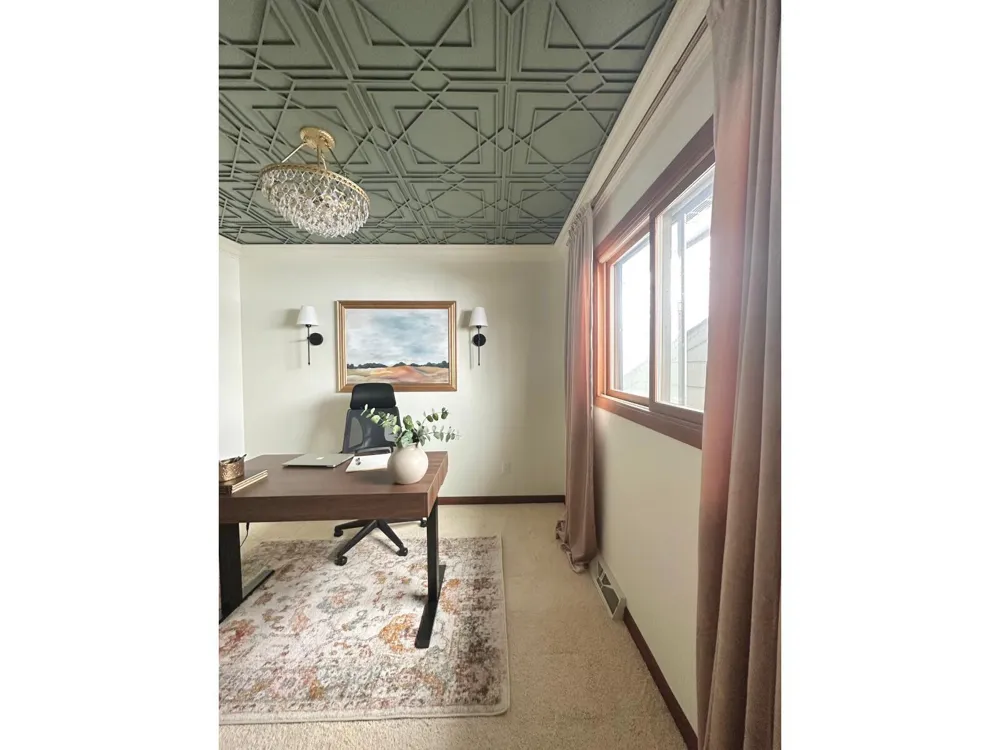 1037 Hamlet Drive Avon, MN 56310