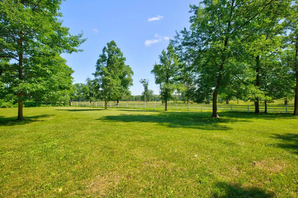 28419 220th Street Shevlin, MN 56676