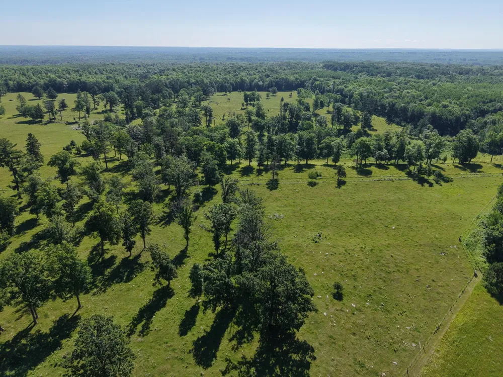 28419 220th Street Shevlin, MN 56676