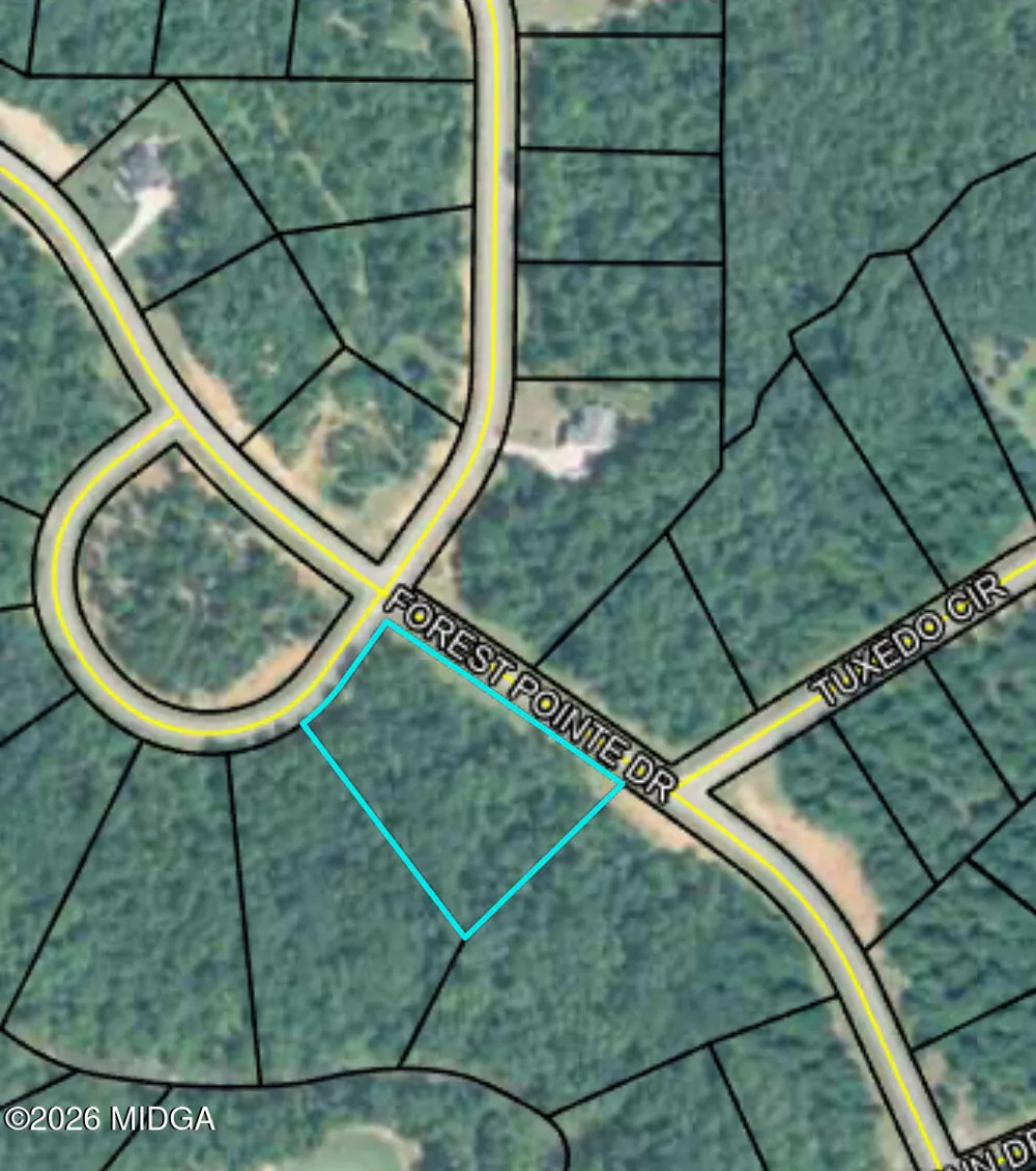 207 Forest Pointe Drive Forsyth, GA 31029