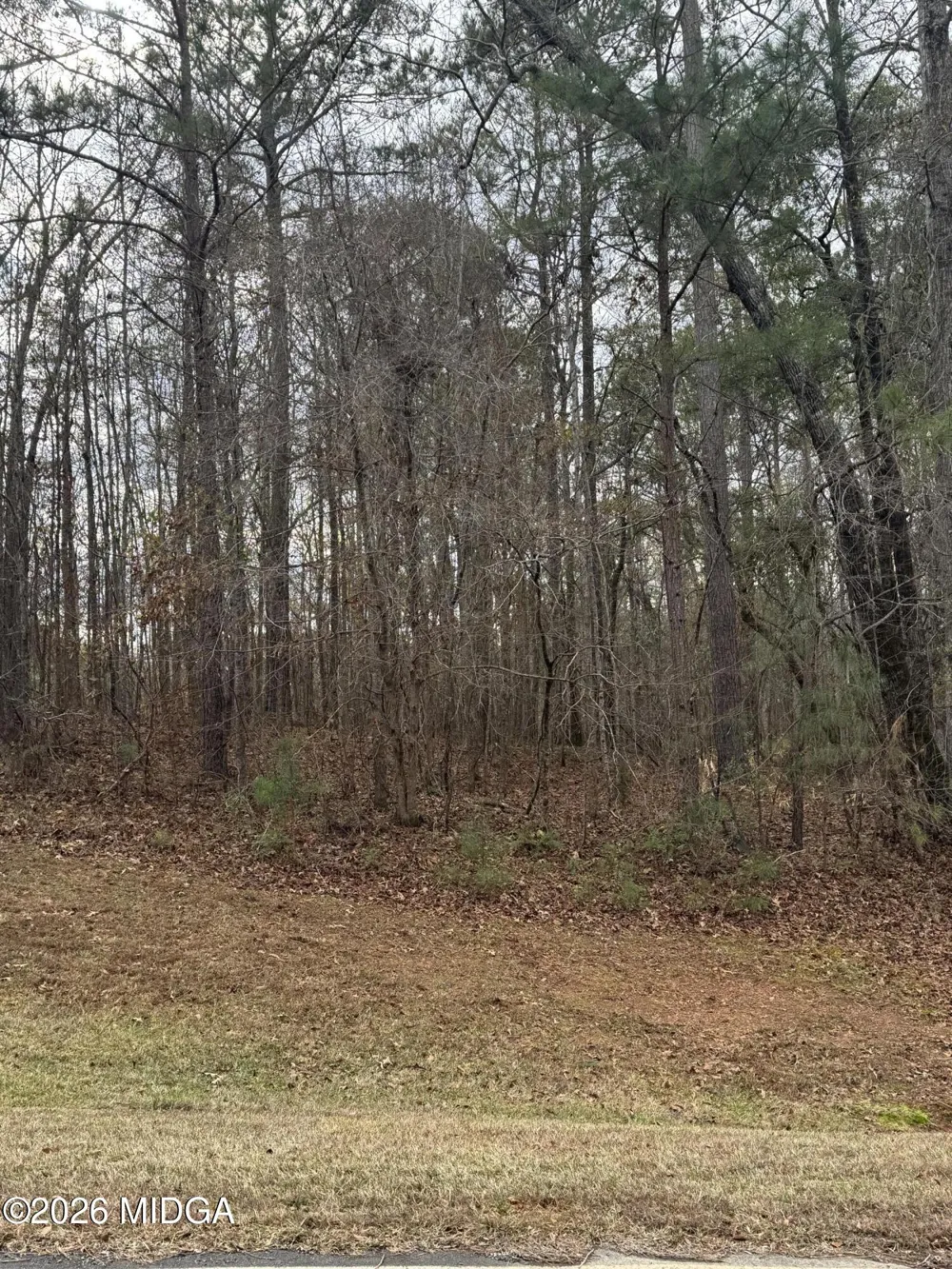 207 Forest Pointe Drive Forsyth, GA 31029