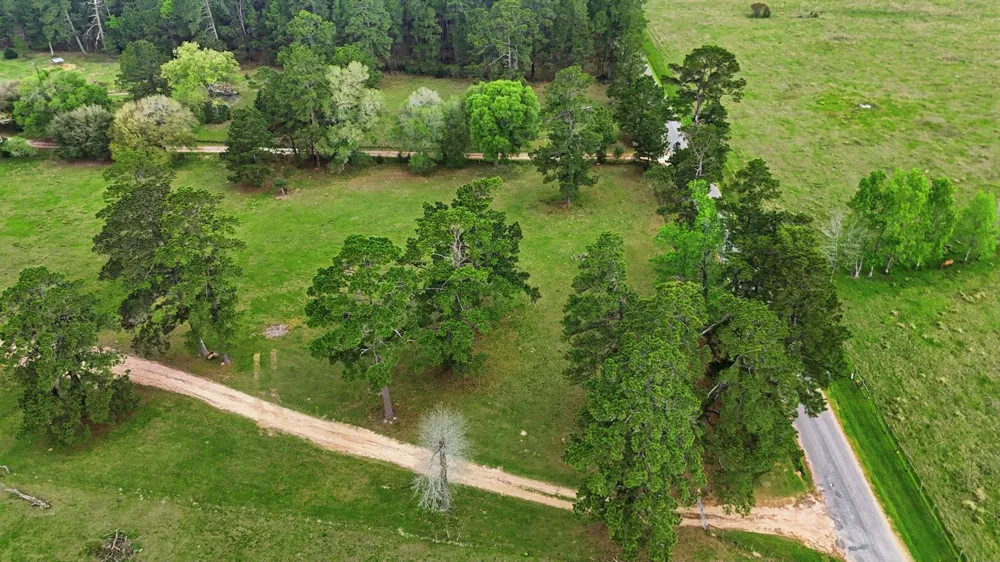 882 Four Notch Road Huntsville, TX 77340
