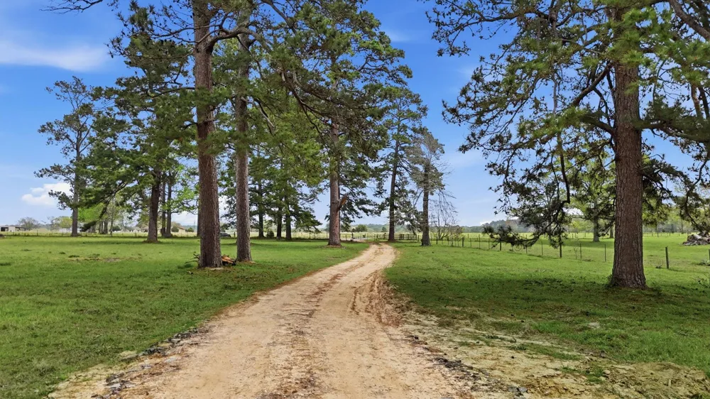 882 Four Notch Road Huntsville, TX 77340