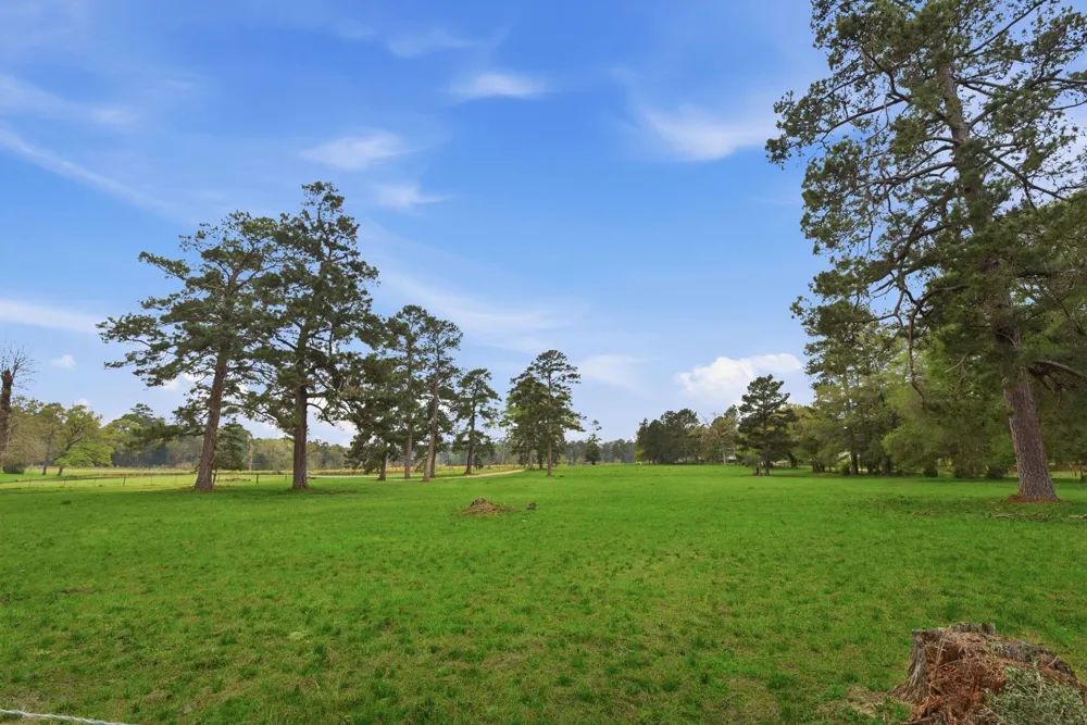 882 Four Notch Road Huntsville, TX 77340