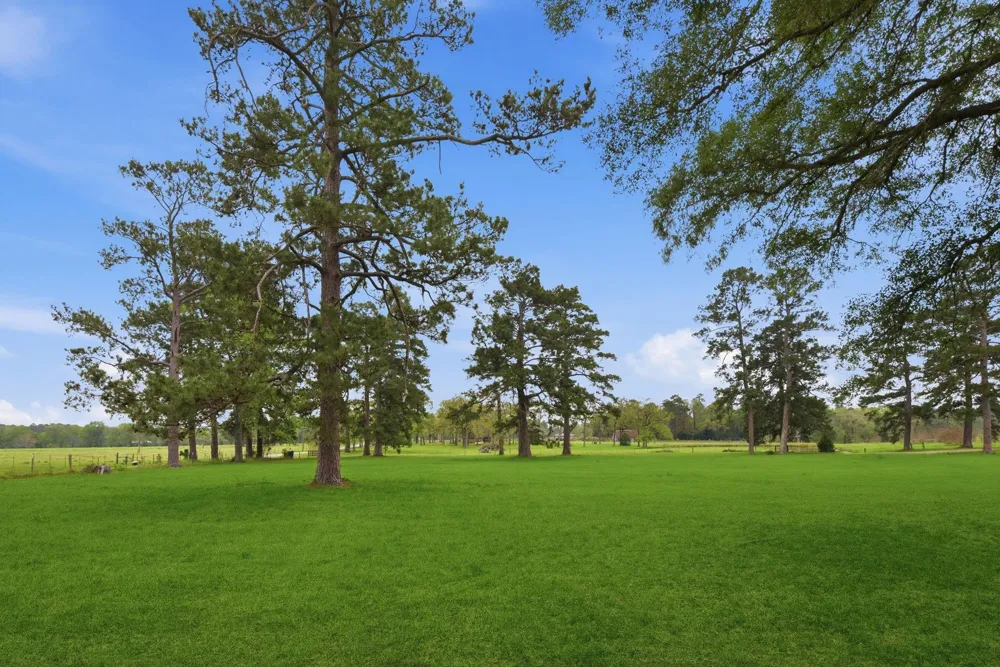 882 Four Notch Road Huntsville, TX 77340