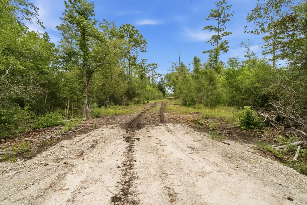 9983 Us Hwy 287 E Corrigan, TX 75939