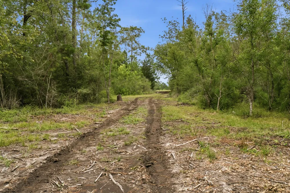 9983 Us Hwy 287 E Corrigan, TX 75939