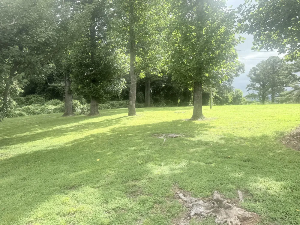48885 Alabama Highway Bridgeport, AL 35740