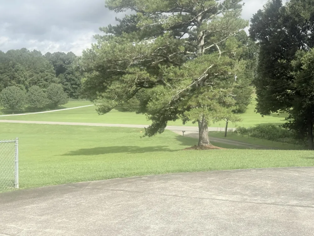 48885 Alabama Highway Bridgeport, AL 35740