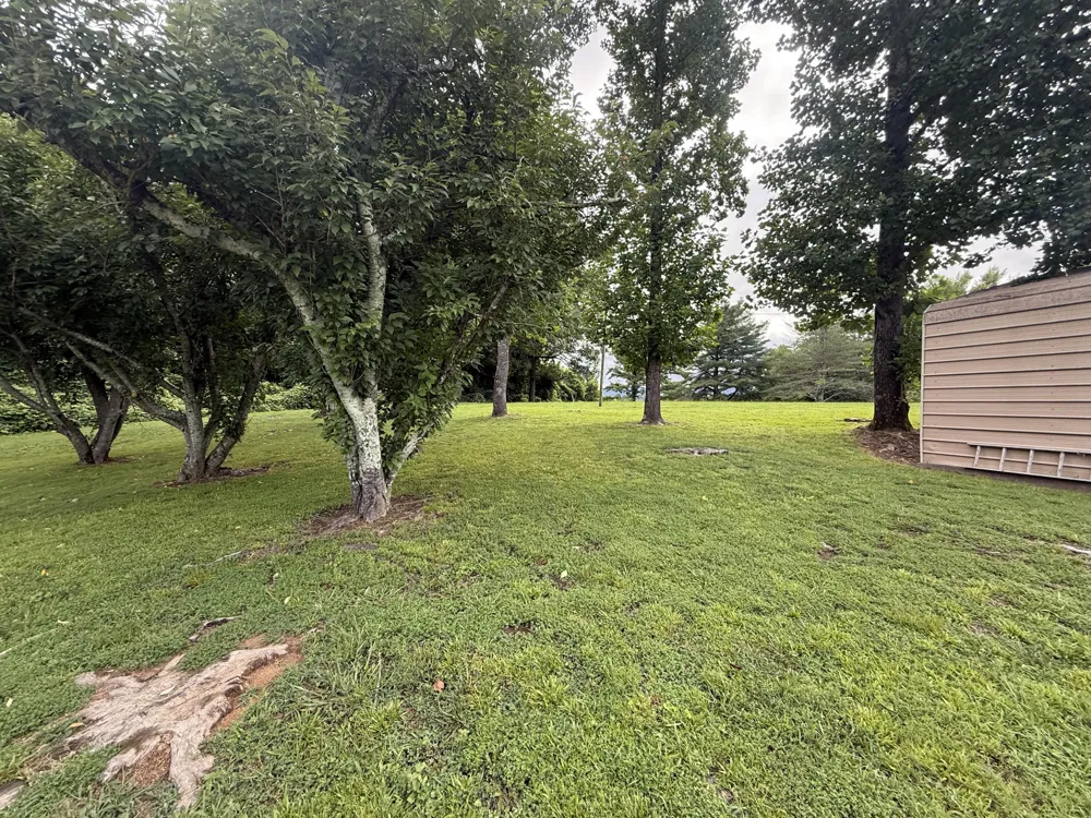 48885 Alabama Highway Bridgeport, AL 35740
