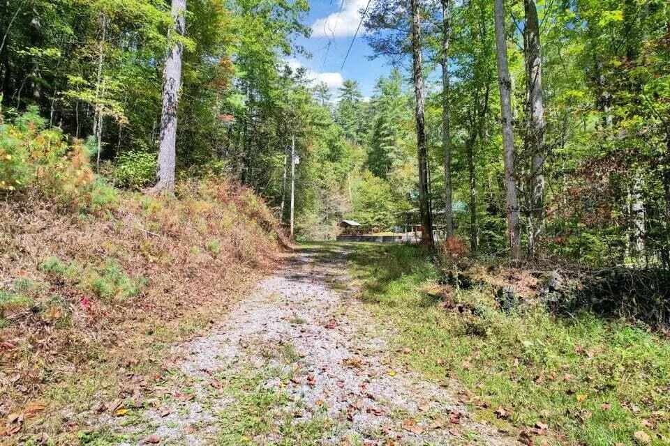230 Big Towee Road Reliance, TN 37369