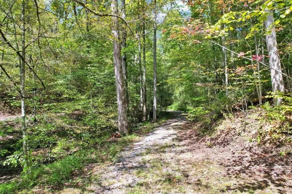 230 Big Towee Road Reliance, TN 37369