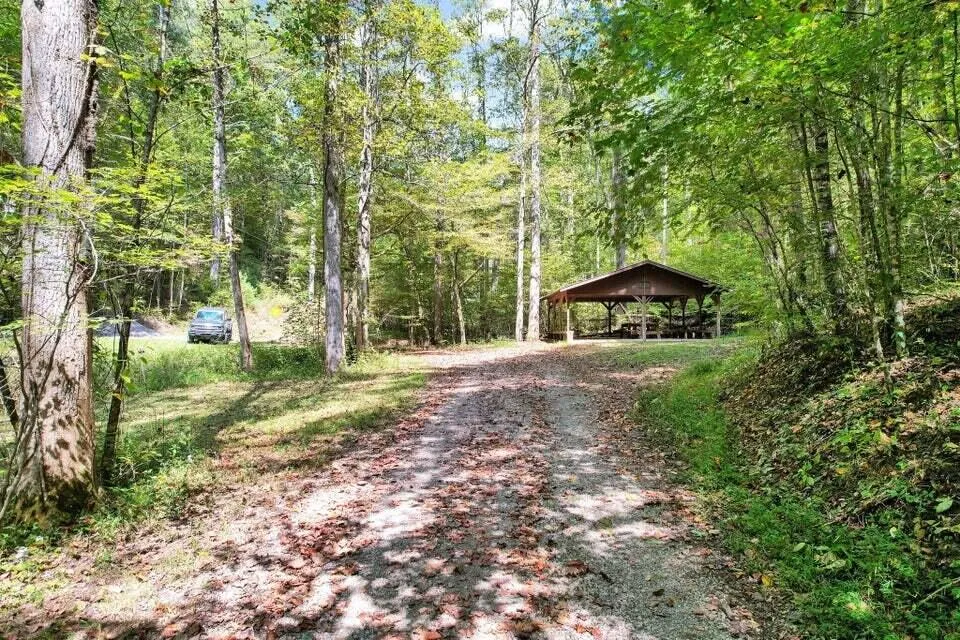 230 Big Towee Road Reliance, TN 37369