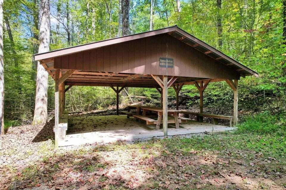 230 Big Towee Road Reliance, TN 37369