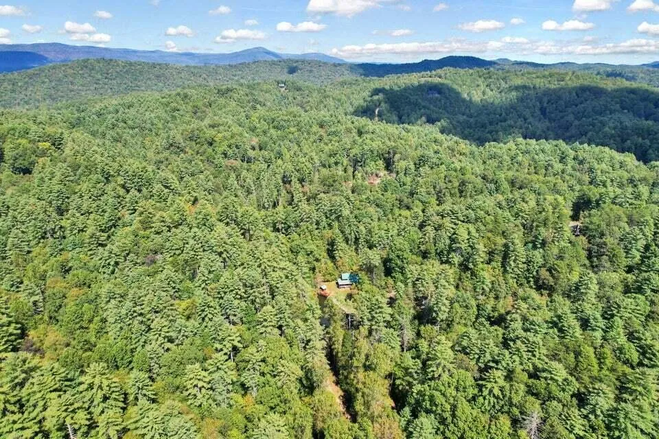 230 Big Towee Road Reliance, TN 37369