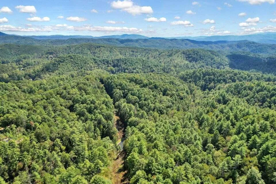 230 Big Towee Road Reliance, TN 37369