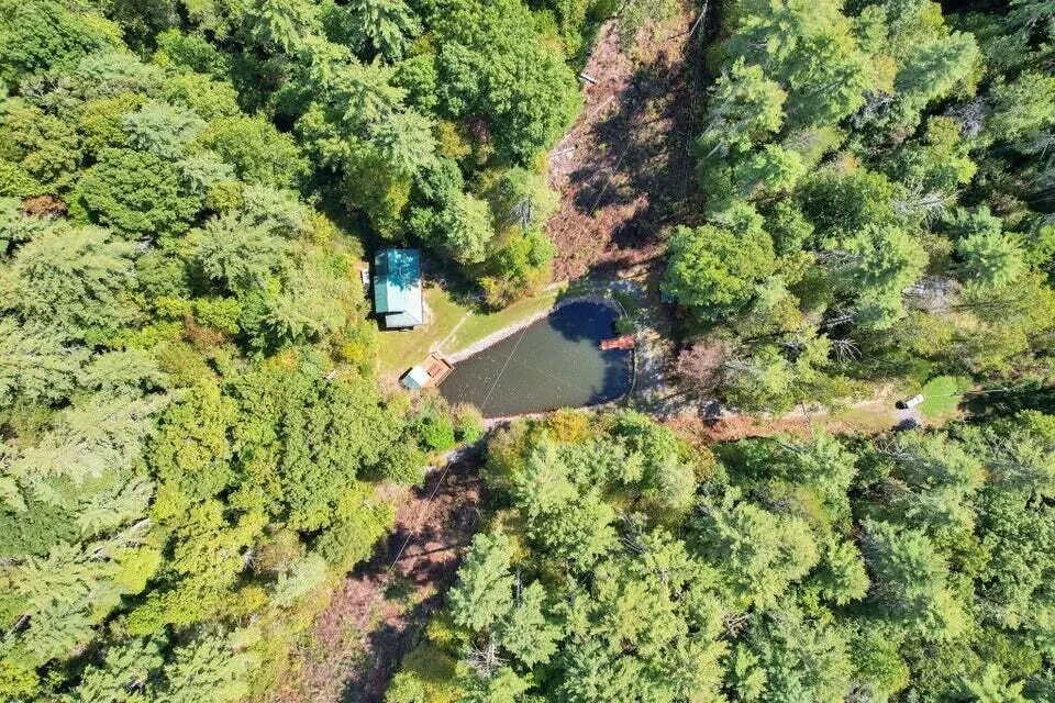 230 Big Towee Road Reliance, TN 37369