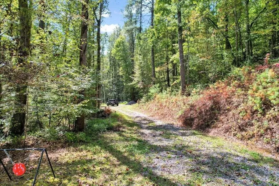 230 Big Towee Road Reliance, TN 37369