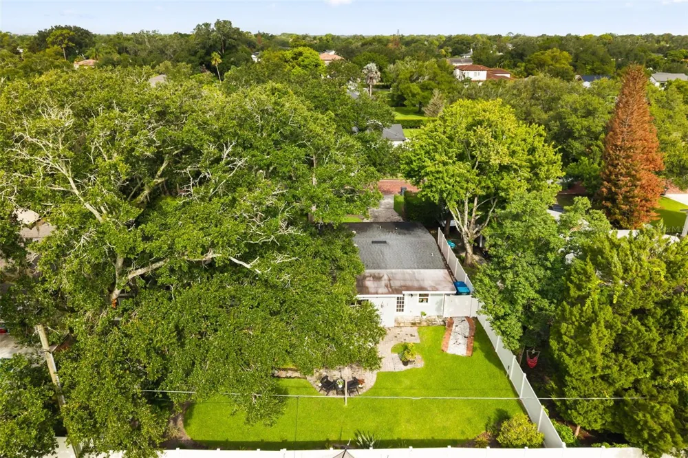 1562 ARBOR PARK DRIVE Winter Park, FL 32789