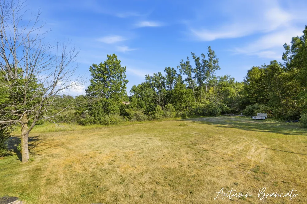 3350 Egner Street NE Solon Township, MI 49319