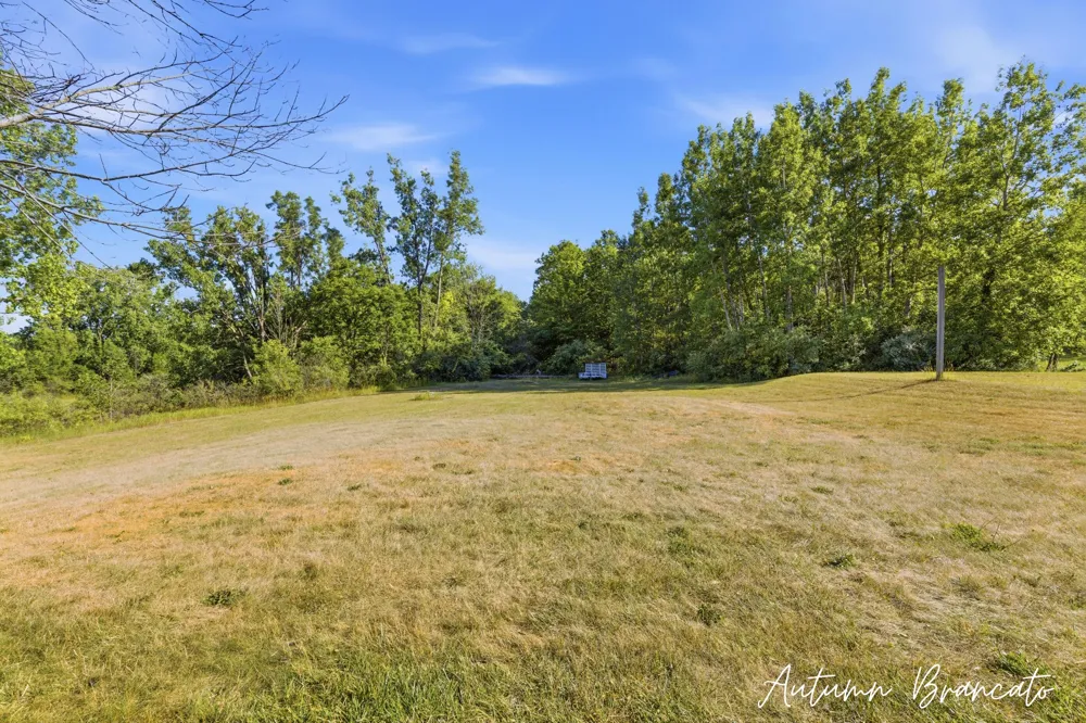 3350 Egner Street NE Solon Township, MI 49319