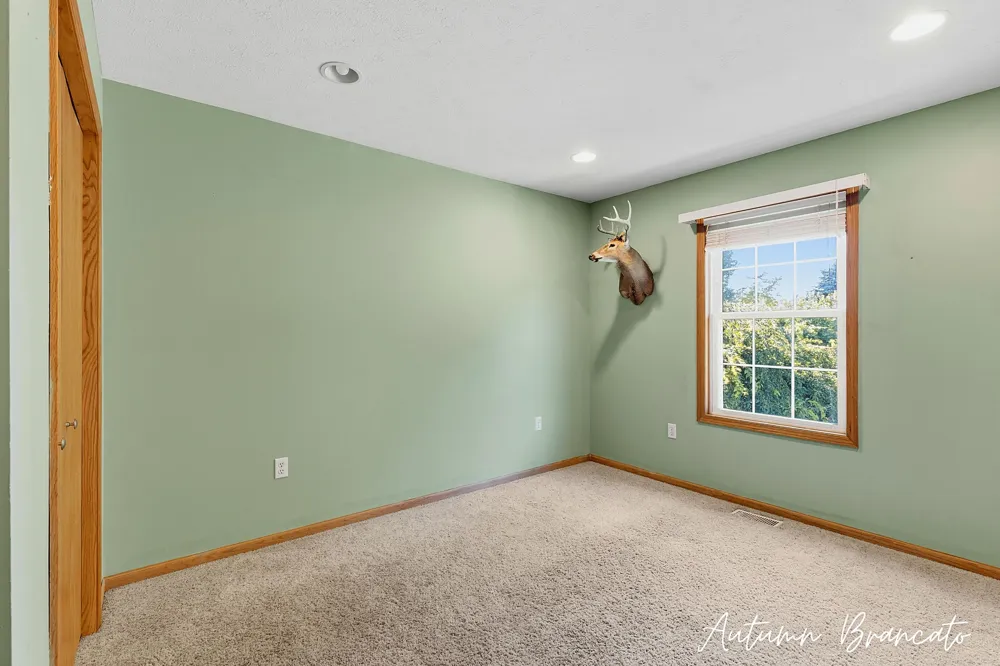3350 Egner Street NE Solon Township, MI 49319