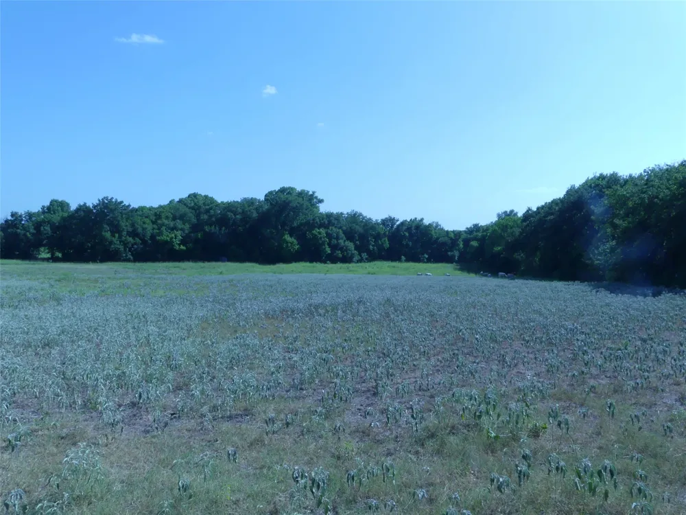 1691 W Alamo Road Bowie, TX 76230