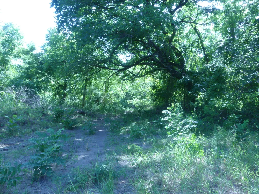 1691 W Alamo Road Bowie, TX 76230