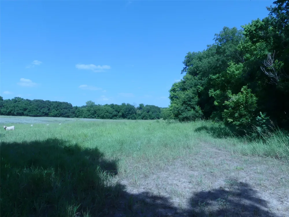 1691 W Alamo Road Bowie, TX 76230