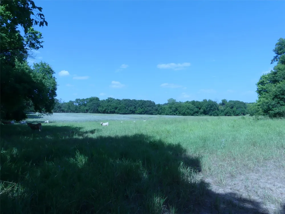 1691 W Alamo Road Bowie, TX 76230