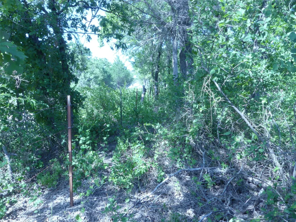 1691 W Alamo Road Bowie, TX 76230