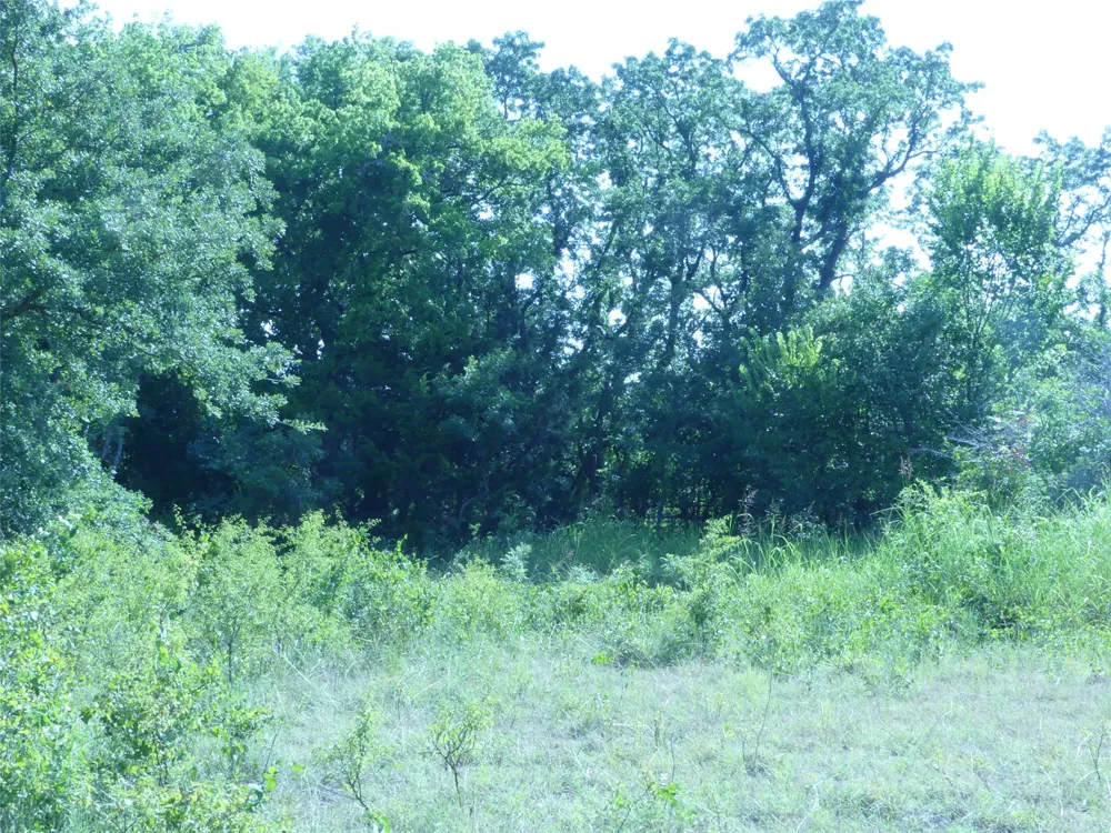 1691 W Alamo Road Bowie, TX 76230