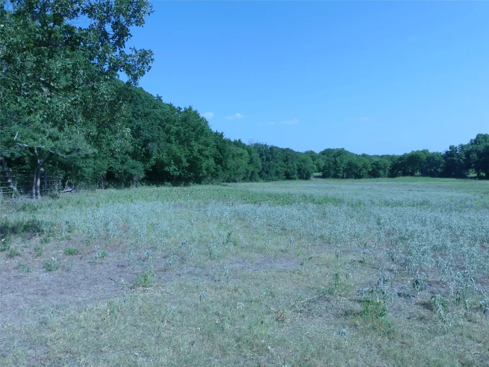 1691 W Alamo Road Bowie, TX 76230