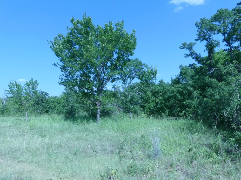 1691 W Alamo Road Bowie, TX 76230