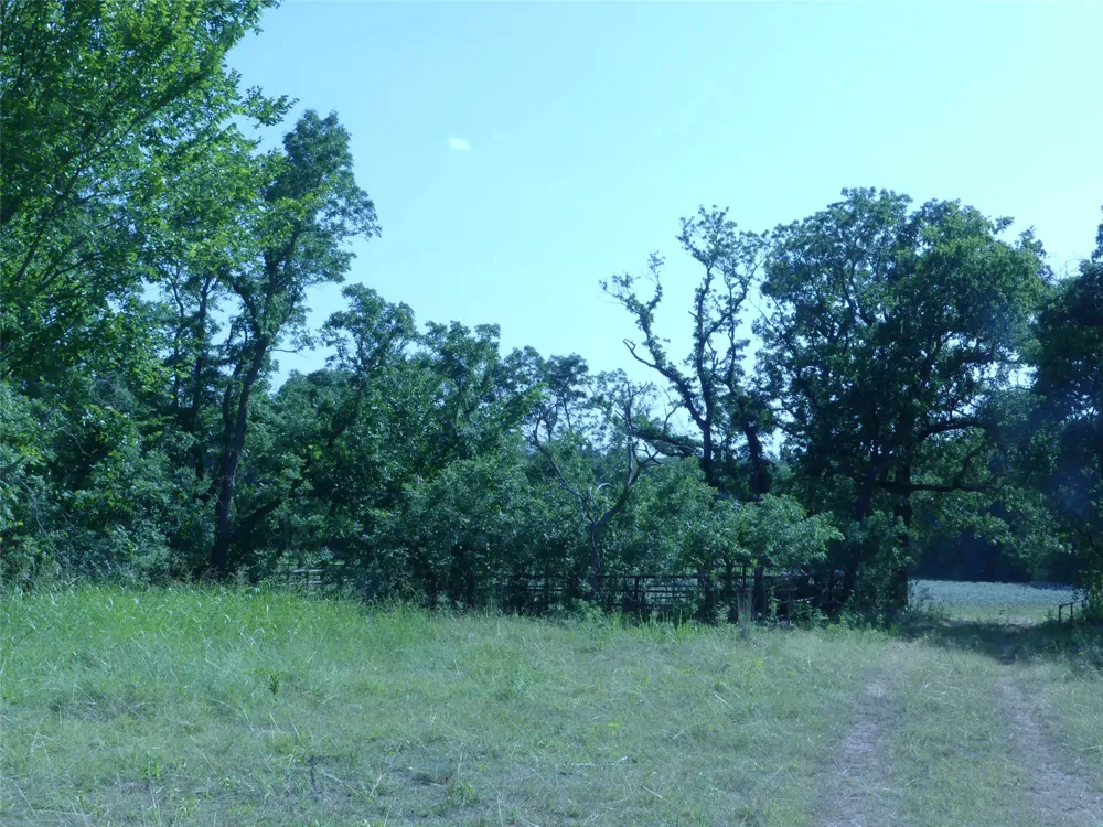 1691 W Alamo Road Bowie, TX 76230