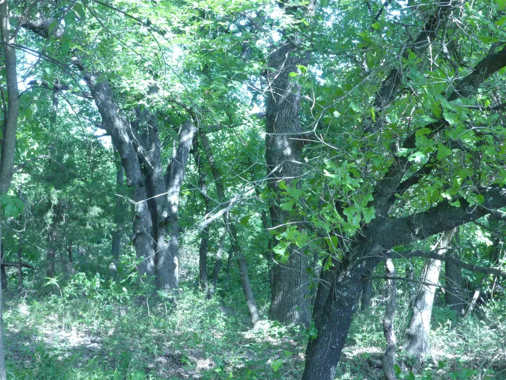 1691 W Alamo Road Bowie, TX 76230