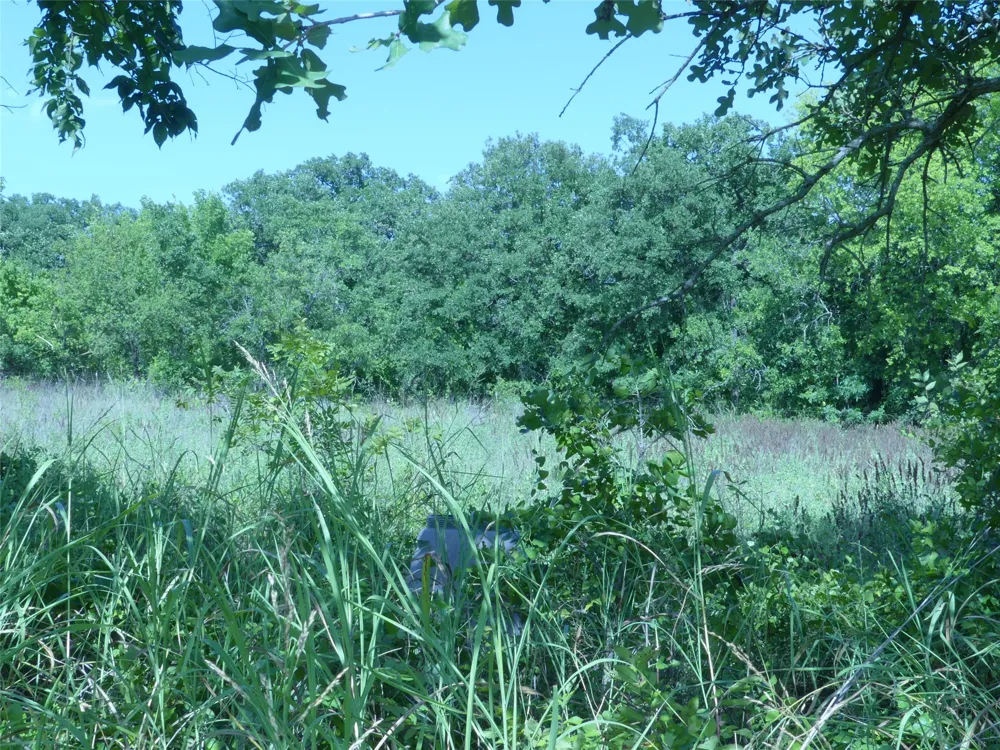 1691 W Alamo Road Bowie, TX 76230