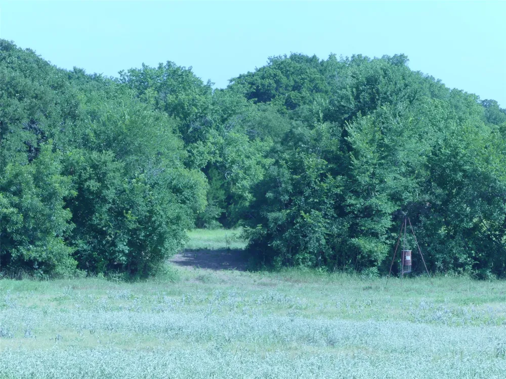 1691 W Alamo Road Bowie, TX 76230