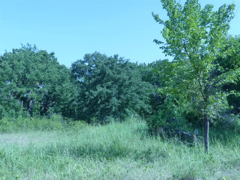 1691 W Alamo Road Bowie, TX 76230