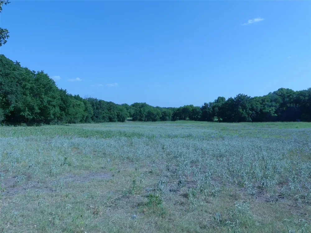 1691 W Alamo Road Bowie, TX 76230