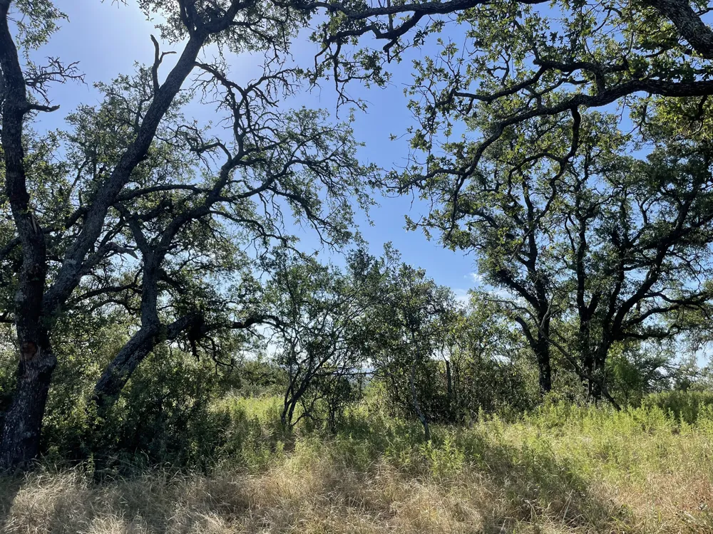 22 Legacy Ridge Burnet, TX 78611