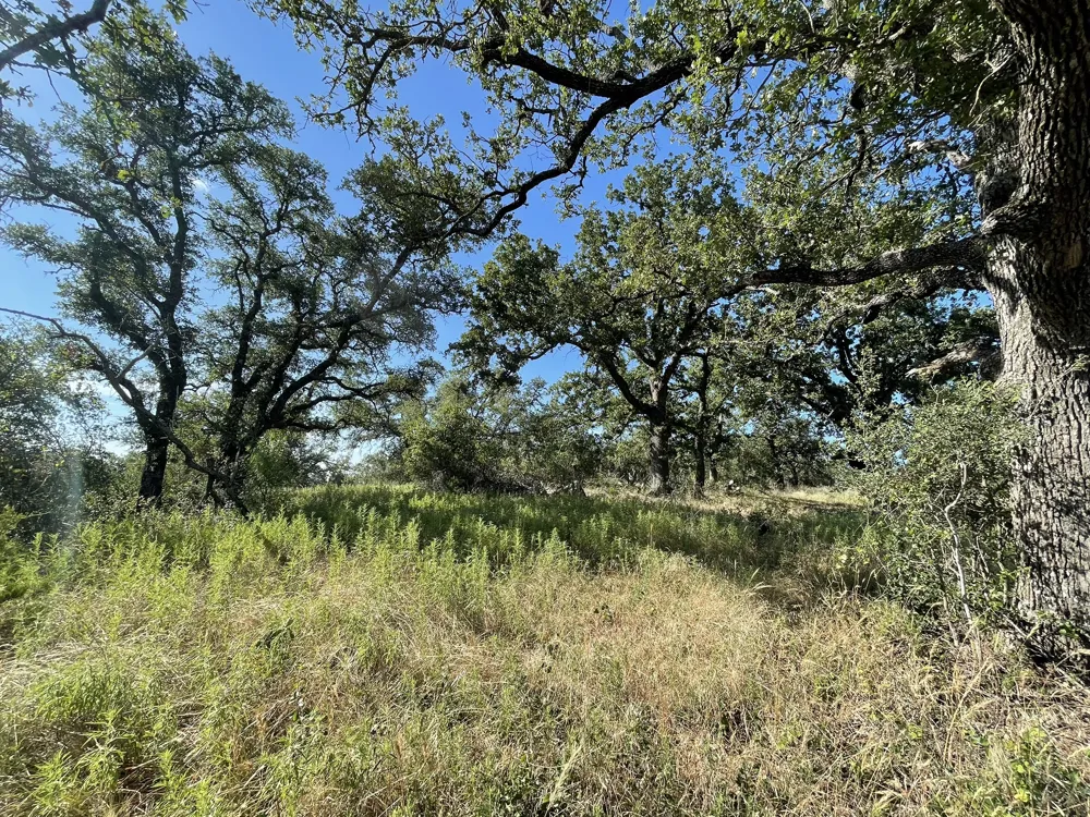 22 Legacy Ridge Burnet, TX 78611