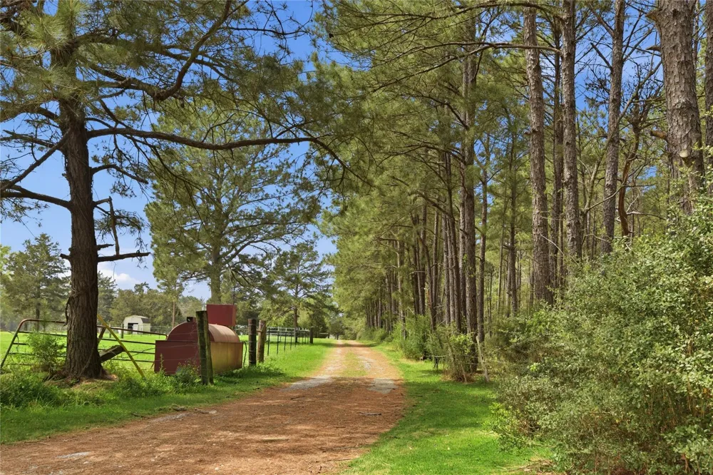 872 Four Notch Road Huntsville, TX 77340
