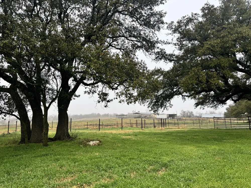 12233 W FM 8 Stephenville, TX 76401
