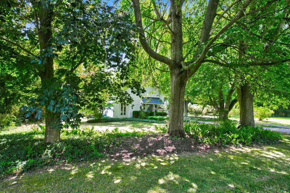 2313 68th Street Fennville, MI 49408