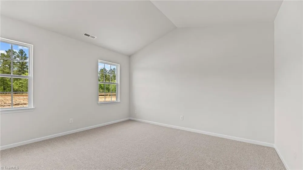 226 Pepper Tree Road Stokesdale, NC 27357
