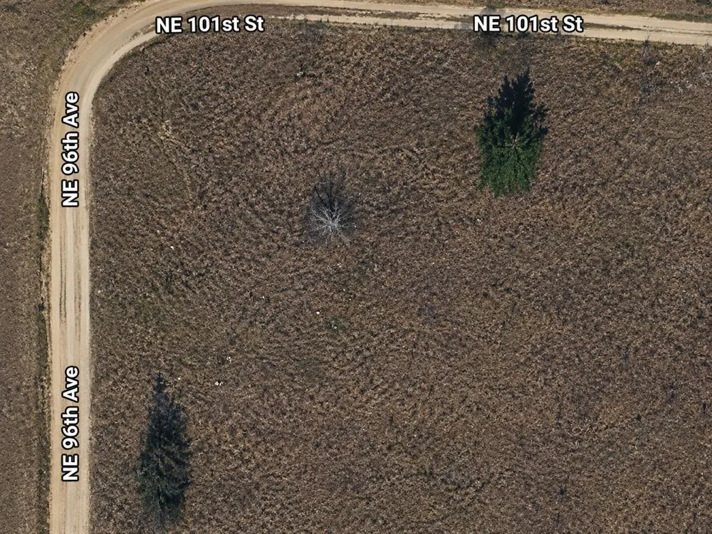 NE 96 AVENUE Archer, FL 32618